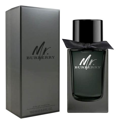 mr burberry eau de parfum 100 ml|eau de parfum burberry.